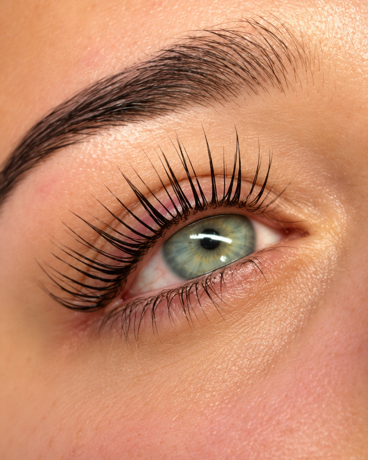 KOREAN LASH LIFT — MARTINIQUE